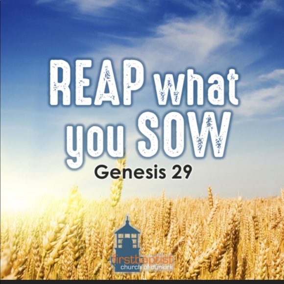 Women’s Cyanotype jean jacket with floral butterfly detail - Picture 2 of 4